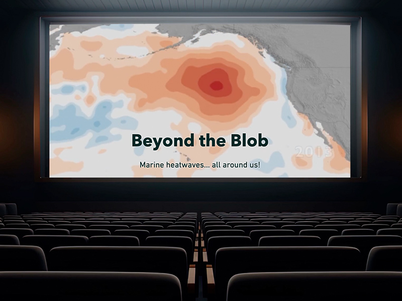 Beyond the Blob